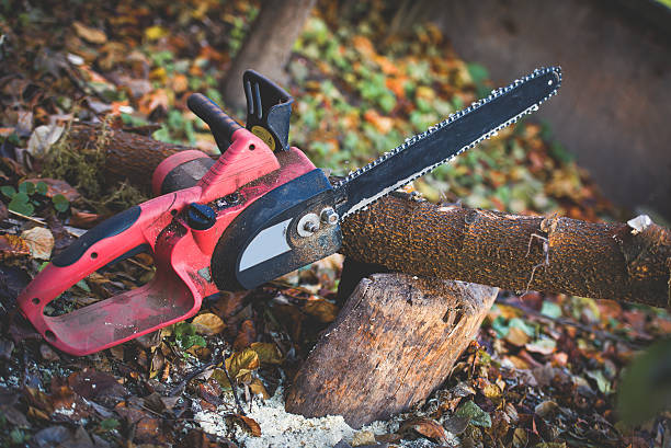 Best Aeration Services  in Del Mar, CA